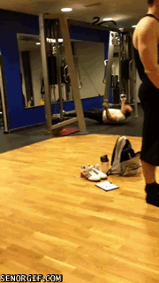 14.gif