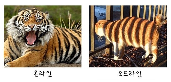 71918b49138482aa7eaf578ca23450b3.jpg : 우리의 생활.jpg