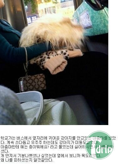1 (5).jpg : 아줌마가 나를 피한 이유.JPG
