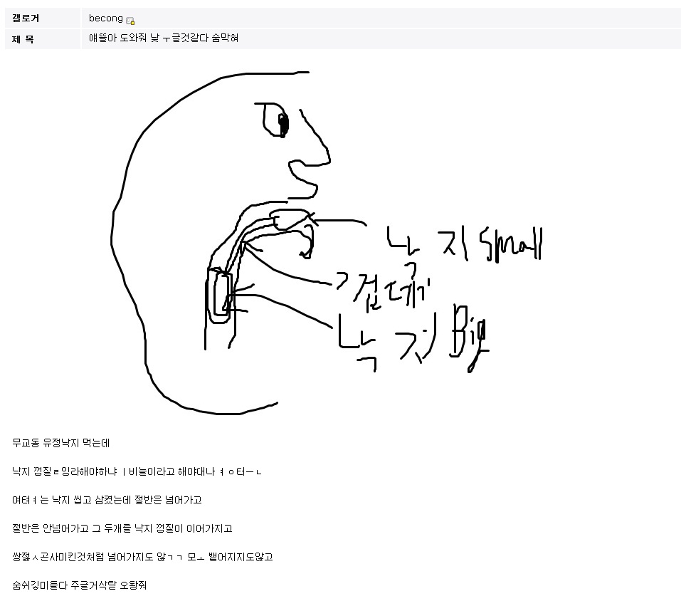 nak1.jpg : 낙지처먹다가 뒤질뻔한 롤갤러.jpg