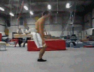 개인기류 甲.gif