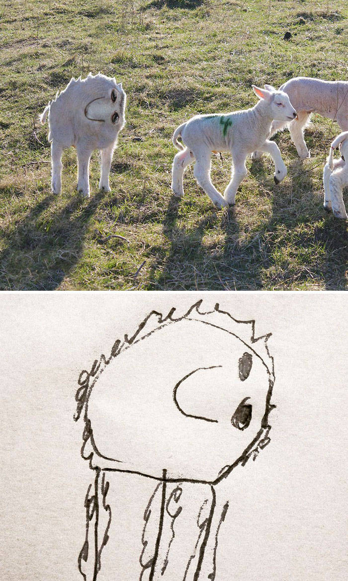 Kid Drawings