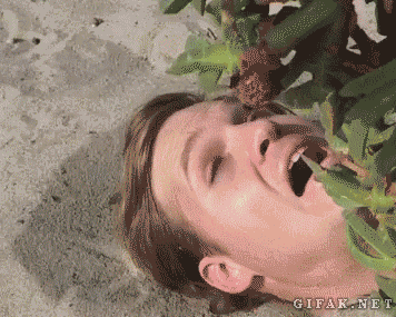 30027020a7da048ec477d95e25111517.gif