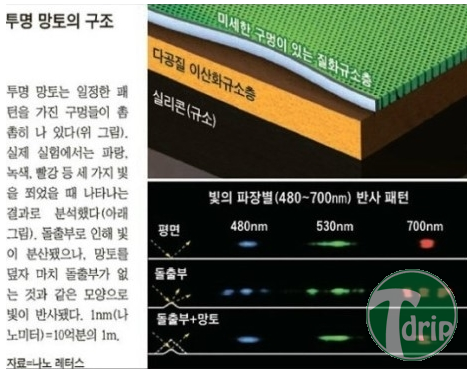 1.png : 한국 투명 망토 기술 개발 성공.jpg 1.png : 한국 투명 망토 기술 개발 성공.jpg