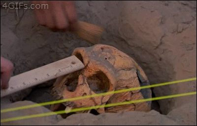 다된밥.gif