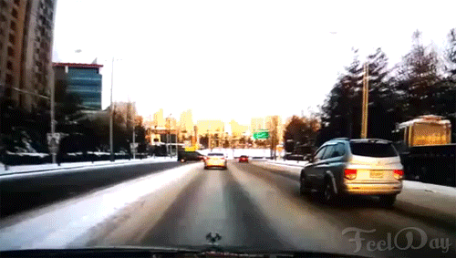 5.gif