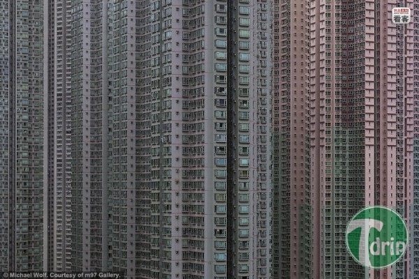 d0136392_4fffd6604f348.jpg : 대륙 아파트 스케일.jpg