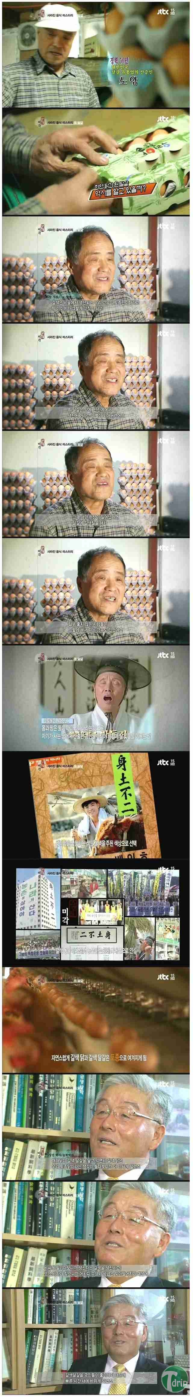d0136392_4f50422881e5d.jpg : 흰 달걀이 사라진이유.jpg