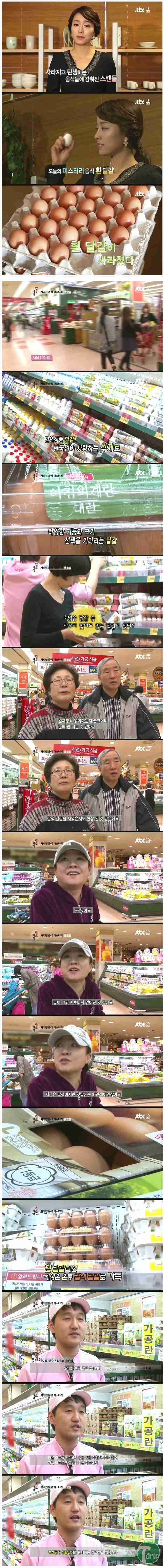 d0136392_4f50421e94bfa.jpg : 흰 달걀이 사라진이유.jpg