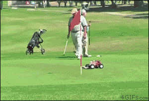 12.gif