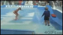 쿨한척류 갑은2.gif