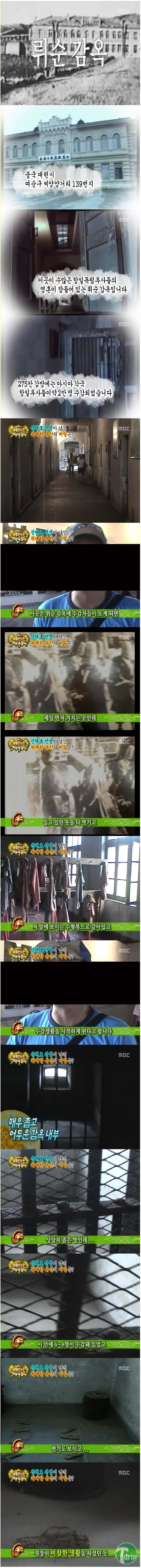 d0136392_4facc8e932e8f.jpg : 한국인이 당했던 고문.jpg