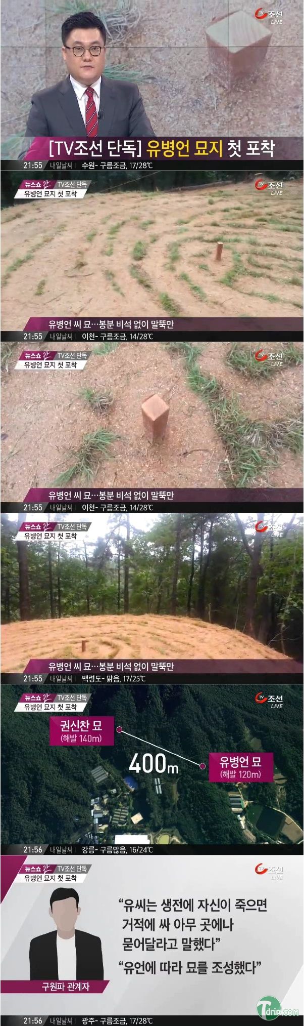 4065073450.jpg : 유병언 묘.