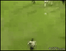 183ce3d22c641953a3bada8e72c696fc.gif