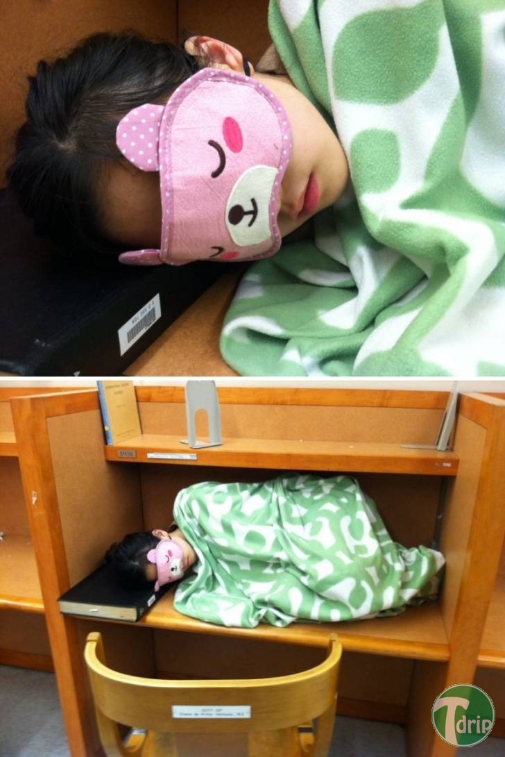 1 (1).jpg : 도서관의 흔한 여대생.jpg