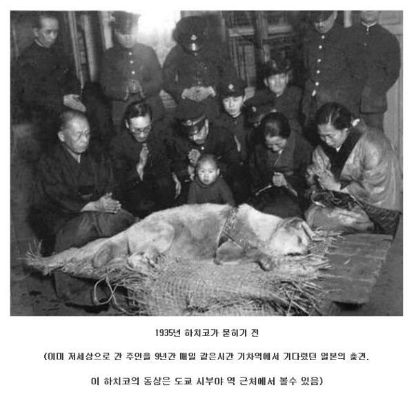 image.jpg : 과거