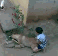f7c64566d76903fab4967df8eb5928b9.gif : 이년아 이리와.gif