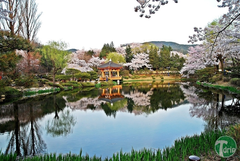 1000년수도6.jpg : 1000년수도.jpg
