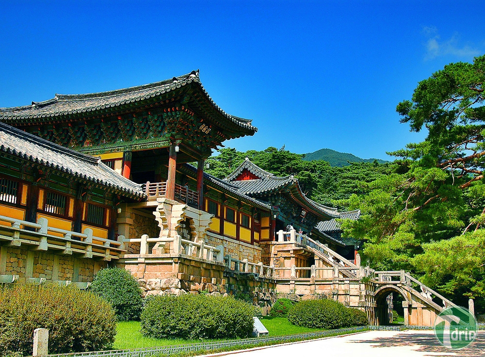 1000년수도2.jpg : 1000년수도.jpg