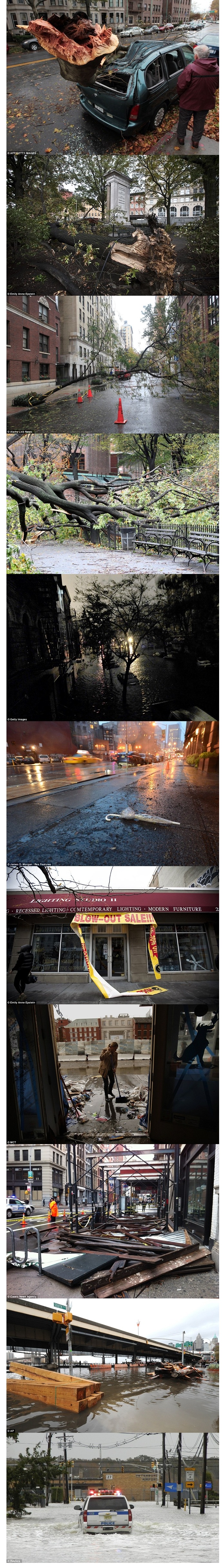 새_이미지_60.jpg
