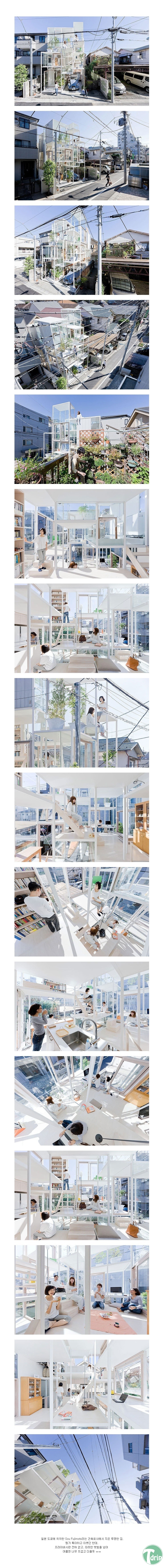 2 (2).jpg : 일본의 투명한 집.jpg