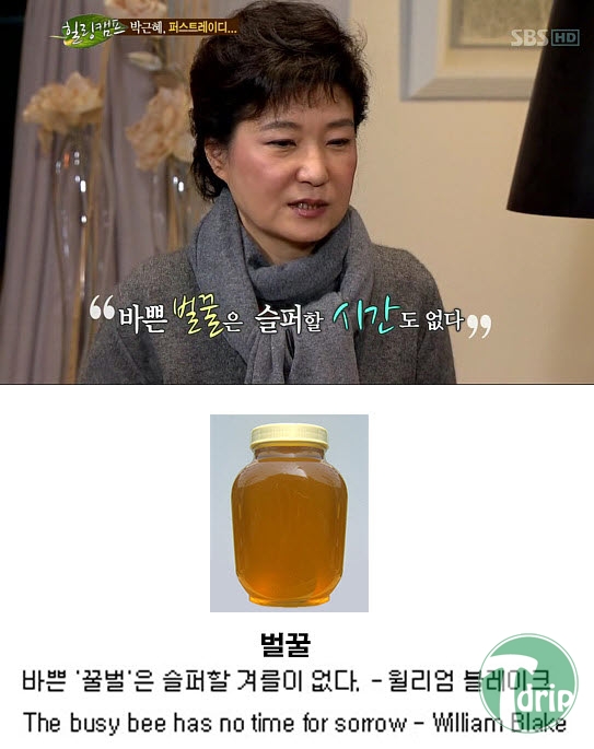 88330f11da2c1ebe8056fe125a3a0f88.jpg : 바쁜 벌꿀은 슬퍼할 시간도 없다.swf