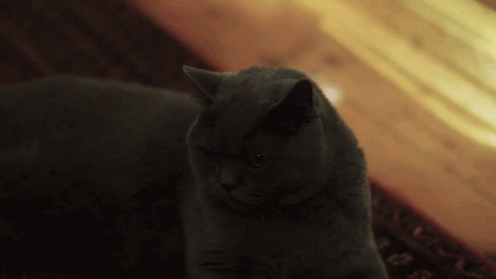 아들_엄마_나갔다올게.gif
