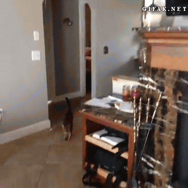 5280e4c3fe22ae83d5ddee1700e30c0b.gif