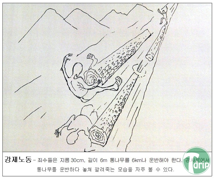 6.jpg : 탈북자의 그림..jpg