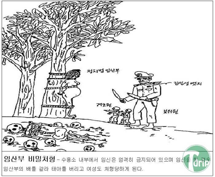 14.jpg : 탈북자의 그림..jpg