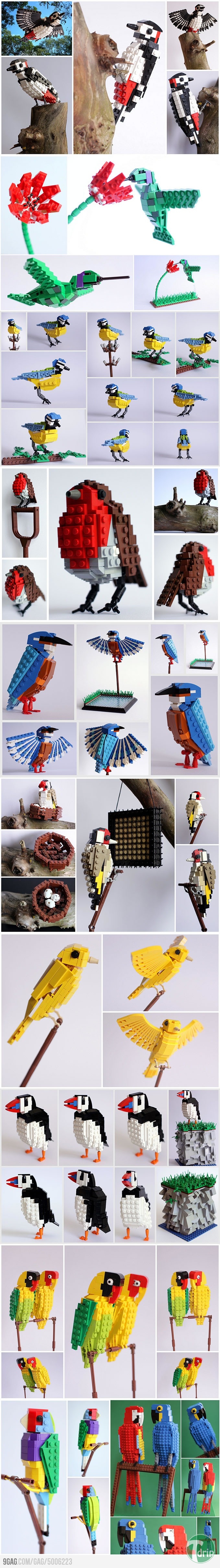 5006223_700b_v1 (1).jpg : 레고로 만들어본 새.jpg