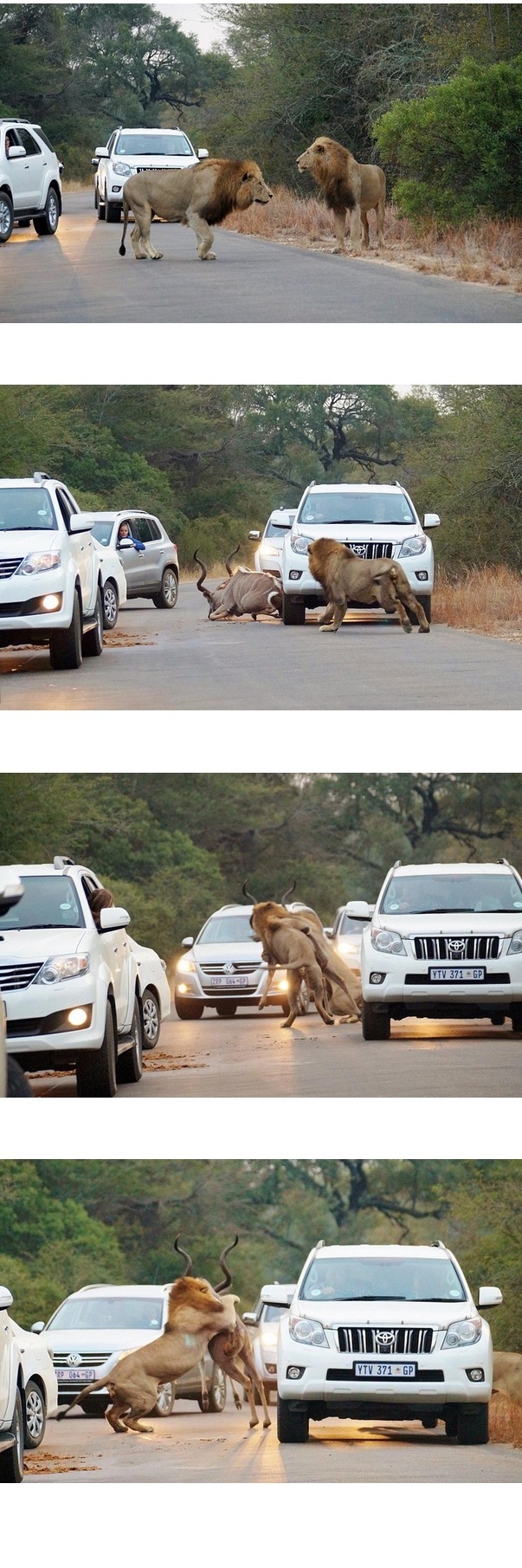 1464912901_711526489.jpg : 아프리카의 교통정체.jpg