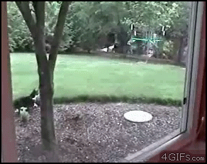 o9AXs.gif