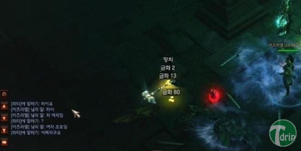 1 (7).jpg : 디아블로3에서 도움을 요청하는 여성유저.JPG