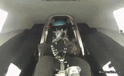 시발 좆됬다.gif