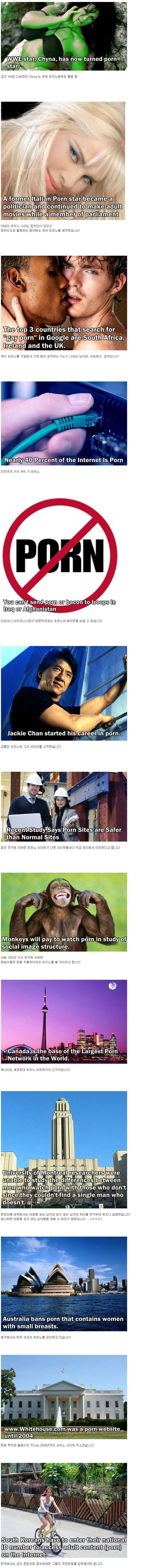 3363dac0b6fad267d6a2437b3e843be31f600e3a.jpg : 포르노에 관한 몇가지 사실