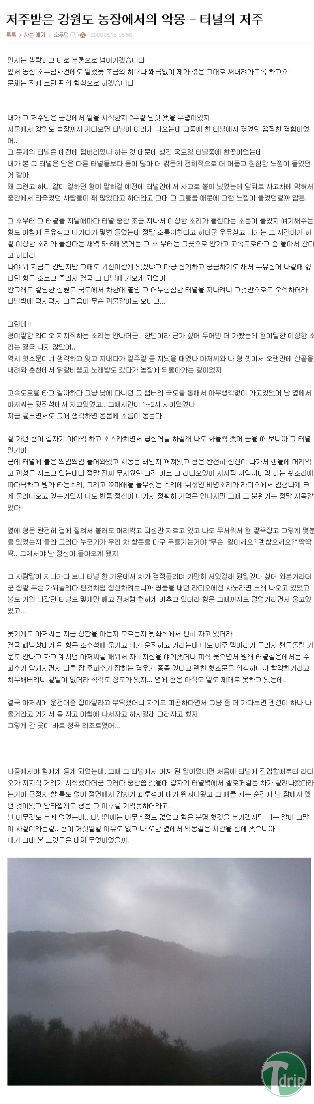 h2.jpg : 강원도 농장의 악몽.jpg