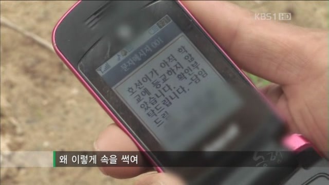 아빠의 둥지.jpg : 