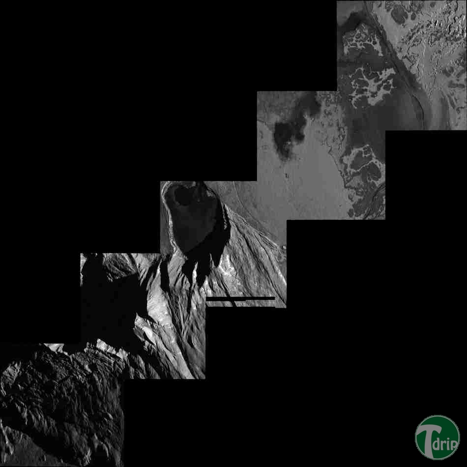 d0136392_4fc877684b718.png