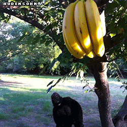 0bc2024f4dc6c85f4e162a2f3e19b32a.gif