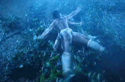 bcf08b0d0be01d89dbe3da22ec69b9b4.GIF : 대륙의 체위.jpg