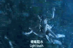 3c262a2813b409da9e86748d580eedf1.GIF : 대륙의 체위.jpg