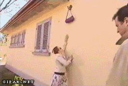 신사.gif