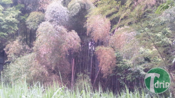 04.jpg