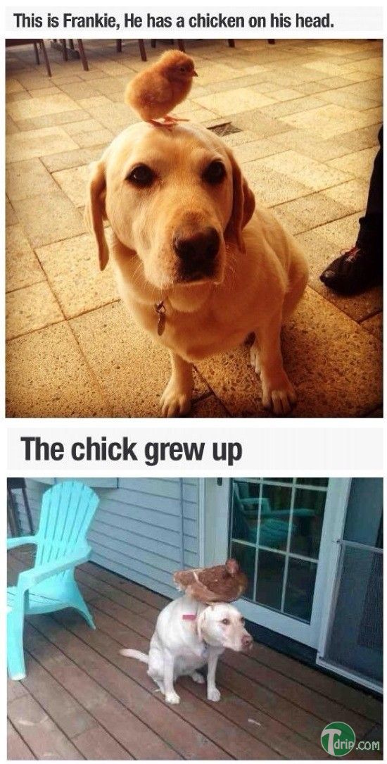 6554ef849760d7f9c362e91fcbe75ff1_ma8cP1Pv6.jpg