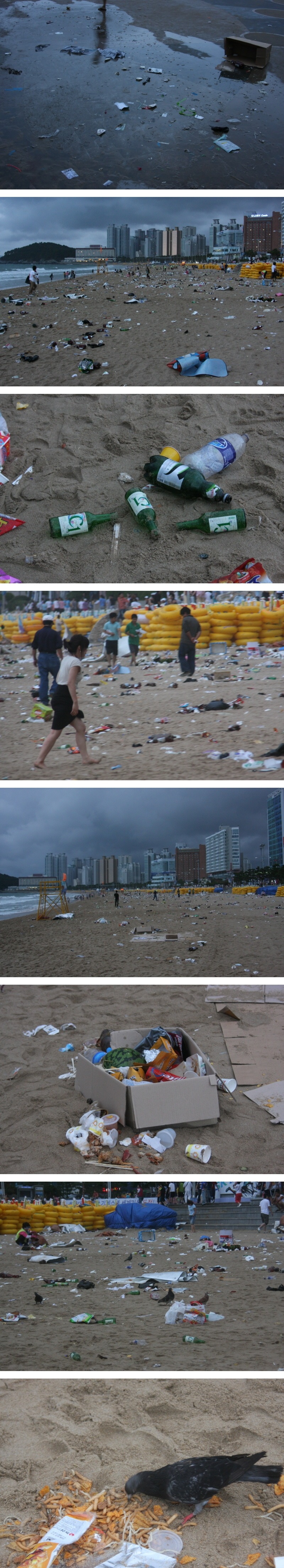 `.jpg : 해운대 새벽의 위엄.jpg
