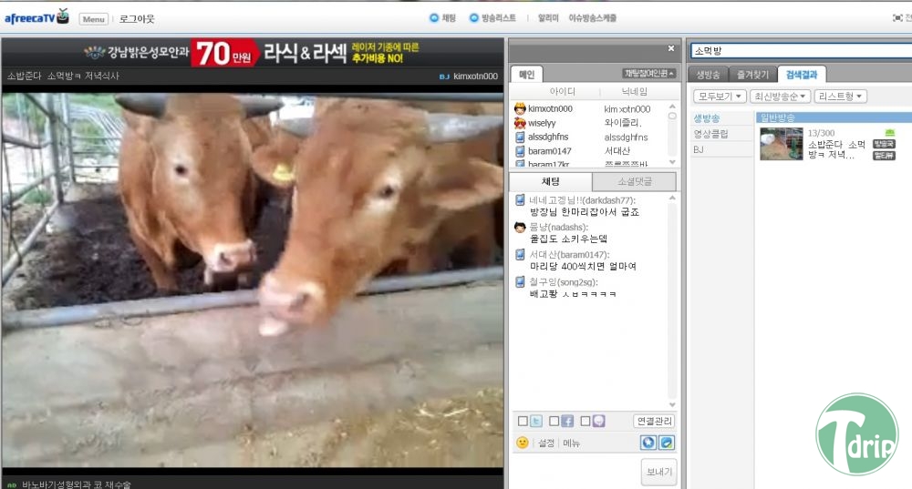 d0136392_4fa8fbd65a99f.jpg : 아프리카tv 먹방류 최강.jpg