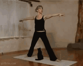 cat.jpg : 여기서 생선냄새가 나는거같다옹.gif