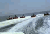 1 (1).gif : 호떡 뒤집기.GIF