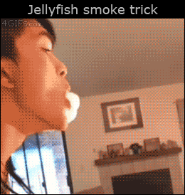 tumblr_nip0rxJVo11qdlh1io1_r2_400.gif